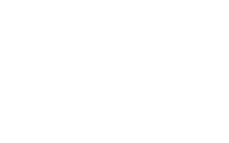 Aladdin logo in white