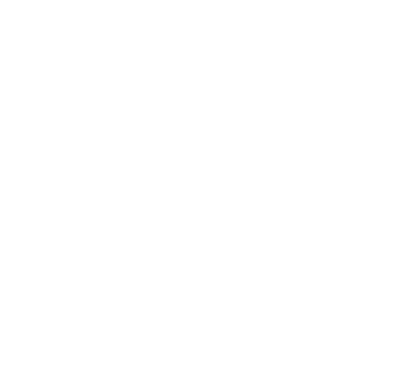 Bolt logo in white