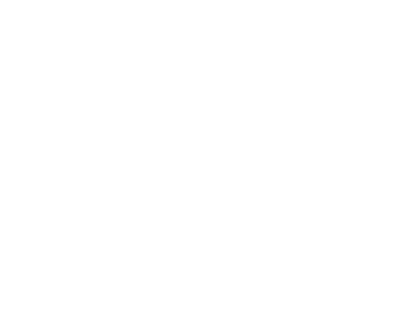 The 400 Blows logo in white