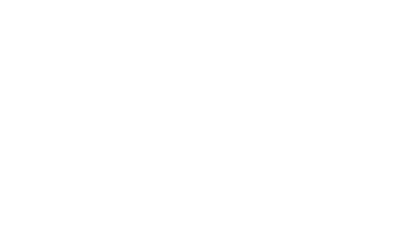 The Princess and the Frog logo in white