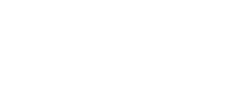 The Wild Bunch logo in white