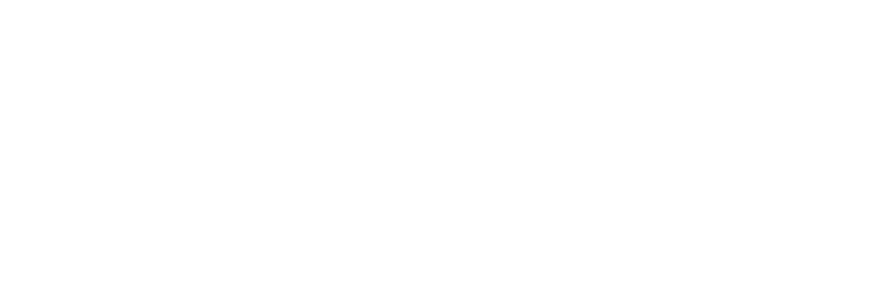 The World Is Not Enough logo in white