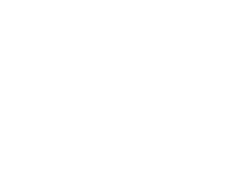 Wish logo in white