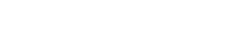 Designated Survivor logo in white
