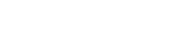 Liv and Maddie logo in white